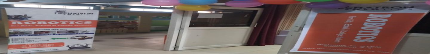 Mechatron Robotics